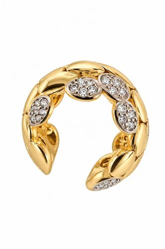 Claudia Earcuff