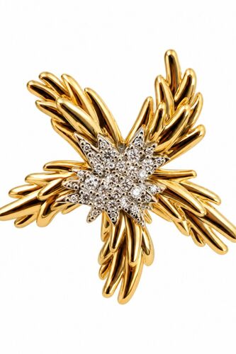 Elena Earcuff