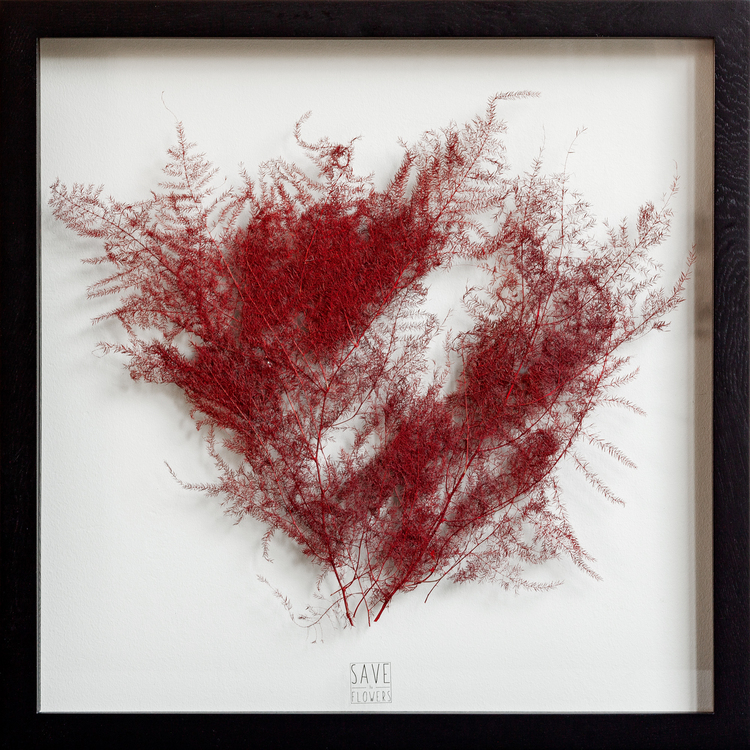 Save the Flowers main image 1