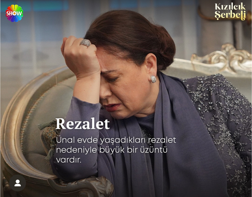 Pembe Hanım Bagetli Küpe