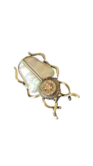 Böcek Brooch