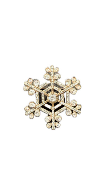 Snow Flake Brooch