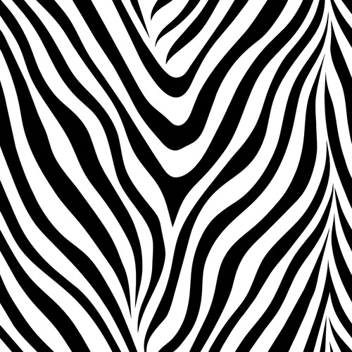 Zebra Desenli Şifon Büyük Boy Kare Pareo 145X145